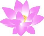 lotus blossom